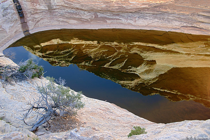 Water Reflection